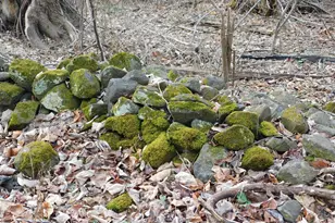 3909 River Rd, Darlington, MD 21034 - Photo 8