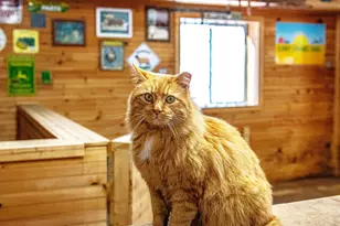 1221 Prospect Mill Rd, Bel Air, MD 21015 - Photo 54