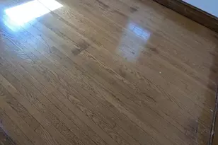 364 Lewis St, Havre de Grace, MD 21078 - Photo 8