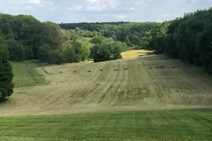 3239 Dry Branch Rd, White Hall, MD 21161 - Photo 54