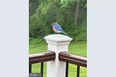 3239 Dry Branch Road, White Hall, MD 21161 - Photo 48