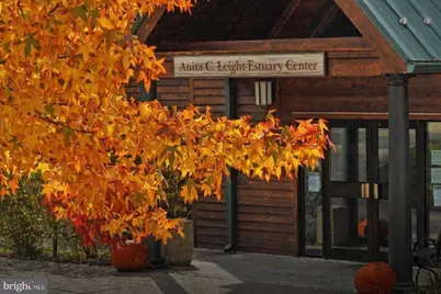 303 Talbot Court, Abingdon, MD 21009 - Photo 20