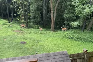 998 Jessicas Ct, Bel Air, MD 21014 - Photo 4