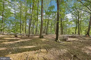 3632 Burkins Rd, Street, MD 21154 - Photo 94