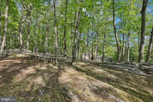 3632 Burkins Rd, Street, MD 21154 - Photo 94