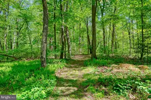 3919 Emrick Ln, Jarrettsville, MD 21084 - Photo 40
