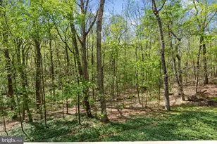 3910 Eaton Dr, Jarrettsville, MD 21084 - Photo 34