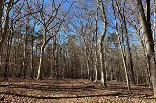 3515 Clayton Rd, Joppa, MD 21085 - Photo 40