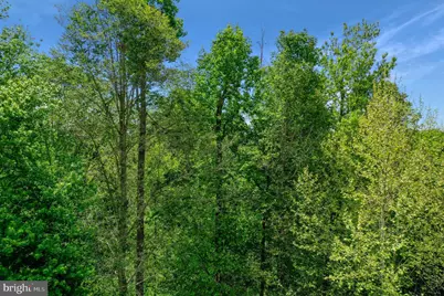 901 Macphail Woods Crossing #3D, Bel Air, MD 21015 - Photo 34