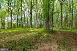 2310 Putnam Rd, Forest Hill, MD 21050 - Photo 22