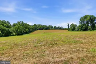 3555 Mill Green Rd, Street, MD 21154 - Photo 74