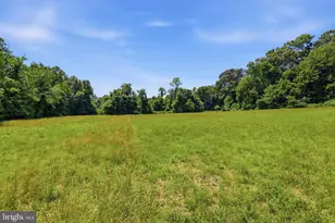 3555 Mill Green Rd, Street, MD 21154 - Photo 80