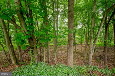 619 Kildonan Court, Bel Air, MD 21015 - Photo 60