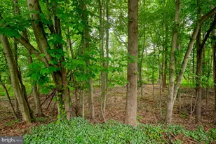 619 Kildonan Ct, Bel Air, MD 21015 - Photo 60