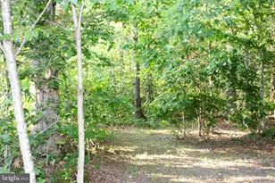 Mandeville Rd, Joppa, MD 21085 - Photo 1