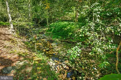 4 Carolina Avenue, Bel Air, MD 21014 - Photo 40