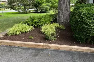 6725 Pine Dr, Columbia, MD 21046 - Photo 48