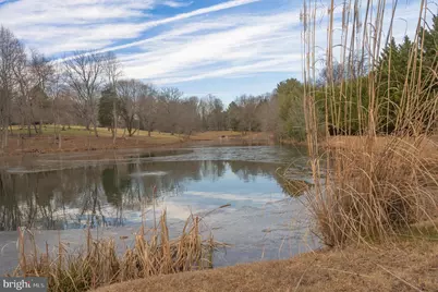 13321 Springwood Court, Ellicott City, MD 21042 - Photo 134
