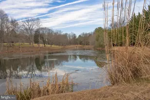 13321 Springwood Ct, Ellicott City, MD 21042 - Photo 134