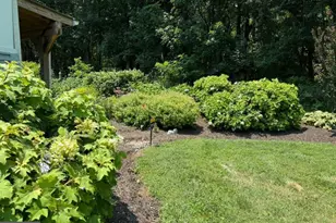 16617 Frederick, Mount Airy, MD 21771 - Photo 66