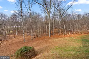 3662 Blackberry Ln, Ellicott City, MD 21042 - Photo 56