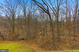 6067 Majors Ln, Columbia, MD 21045 - Photo 20