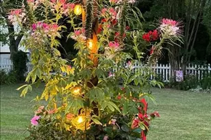 10800 Robin Lynn Dr, Ellicott City, MD 21042 - Photo 52