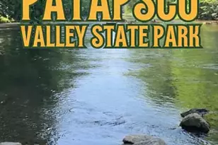 3425 Harrington Dr, Ellicott City, MD 21042 - Photo 28