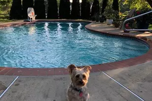 13721 Barberry Way, Sykesville, MD 21784 - Photo 50