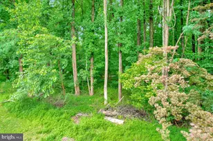 11516 Shell Flower Ln, Columbia, MD 21044 - Photo 2