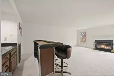 4750 Rams Horn Row, Ellicott City, MD 21042 - Photo 50