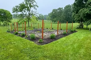 13519 Allnutt Ln, Highland, MD 20777 - Photo 94