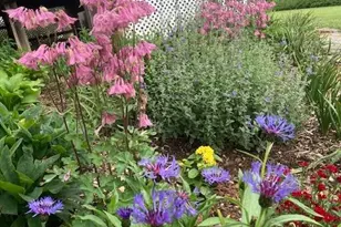 3272 Starting Gate Ct, Woodbine, MD 21797 - Photo 10