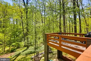 11113 Swansfield Rd, Columbia, MD 21044 - Photo 52
