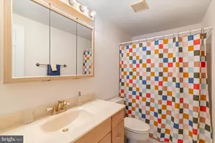 4341 Wild Filly Ct, Ellicott City, MD 21042 - Photo 34