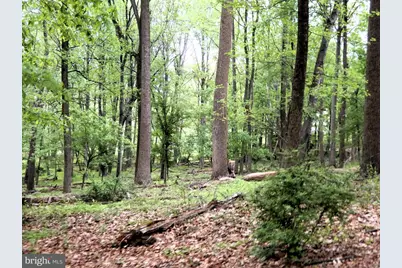 14170 Monticello Drive, Cooksville, MD 21723 - Photo 18