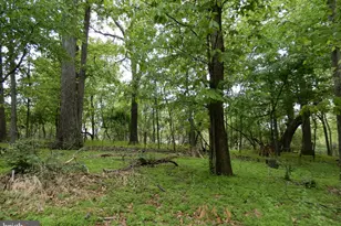 14170 Monticello Dr, Cooksville, MD 21723 - Photo 26