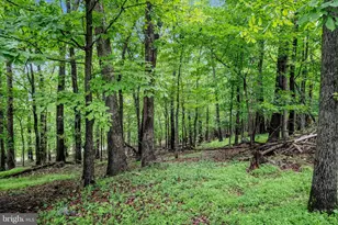 727 Weller Dr, Mount Airy, MD 21771 - Photo 52