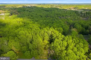 7049 Mink Hollow Rd, Highland, MD 20777 - Photo 22