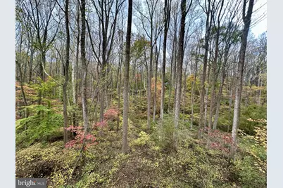 7049 Mink Hollow Road, Highland, MD 20777 - Photo 64