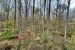 7049 Mink Hollow Rd, Highland, MD 20777 - Photo 64