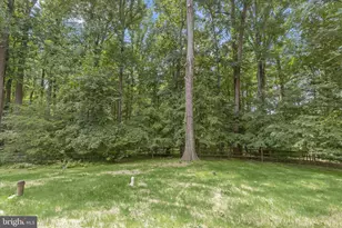6531 River Clyde Dr, Highland, MD 20777 - Photo 68