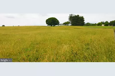 13835 (Parcel 290) Howard Road, Dayton, MD 21036 - Photo 2