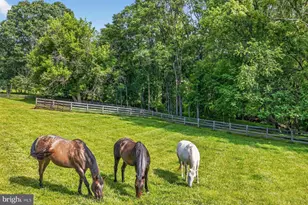 16262 Compromise Ct, Mount Airy, MD 21771 - Photo 4
