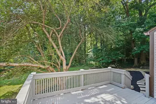 11725 Middle Patuxent Ct, Columbia, MD 21044 - Photo 56