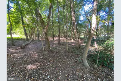 6650 Montgomery Road, Elkridge, MD 21075 - Photo 22