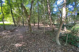 6650 Montgomery Rd, Elkridge, MD 21075 - Photo 22