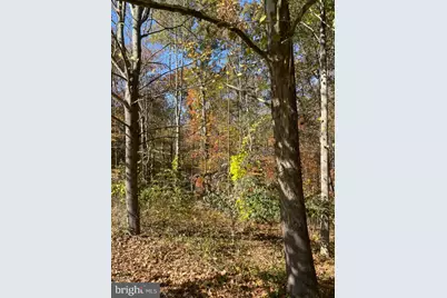 15033 Oak Ridge Court, Dayton, MD 21036 - Photo 28