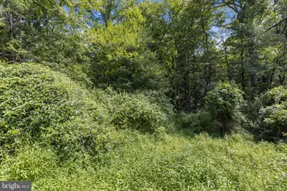 5227 Talbots Landing, Ellicott City, MD 21043 - Photo 8