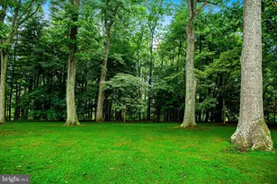 16515 Frederick Rd, Mount Airy, MD 21771 - Photo 28